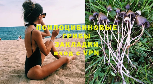 крисы Каменногорск