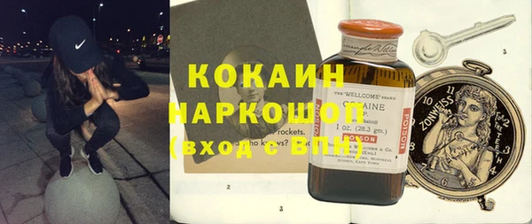 крисы Каменногорск